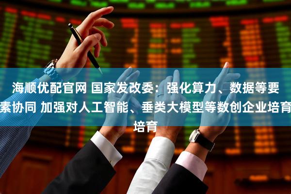 海顺优配官网 国家发改委：强化算力、数据等要素协同 加强对人工智能、垂类大模型等数创企业培育