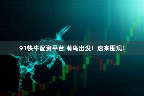 91快牛配资平台 萌鸟出没！速来围观！