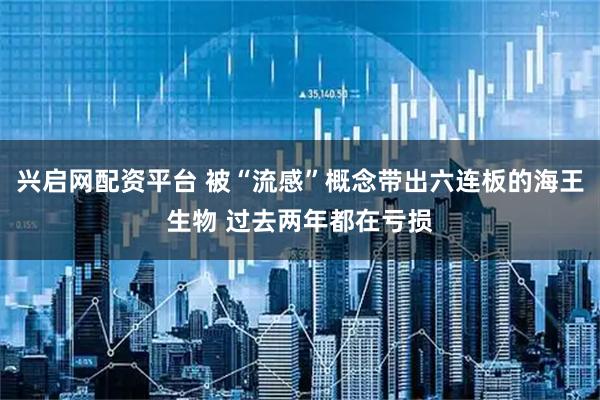 兴启网配资平台 被“流感”概念带出六连板的海王生物 过去两年都在亏损