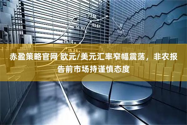 赤盈策略官网 欧元/美元汇率窄幅震荡，非农报告前市场持谨慎态度