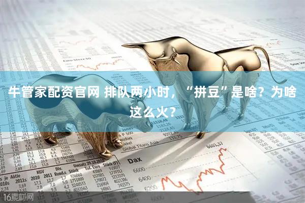 牛管家配资官网 排队两小时，“拼豆”是啥？为啥这么火？